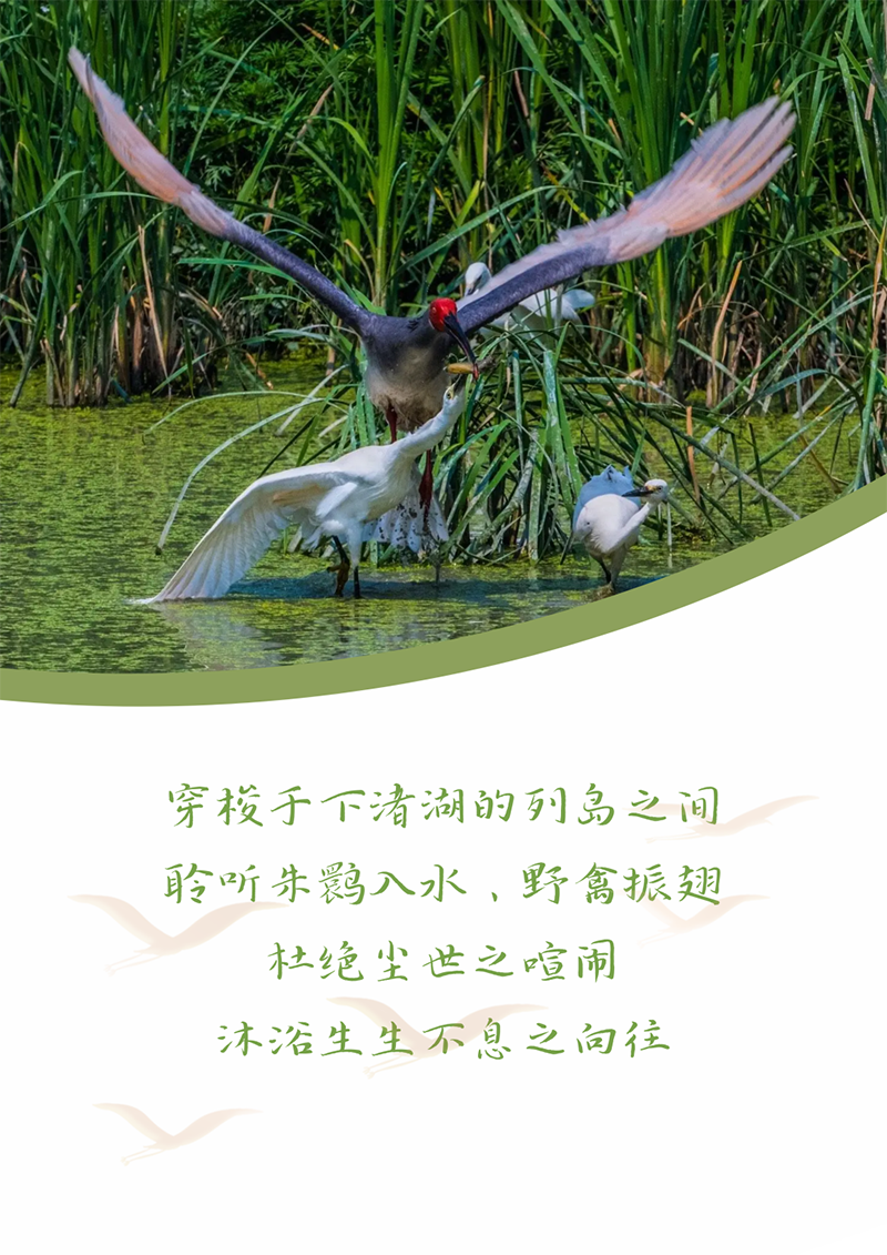 心心念廿 相伴3044am永利集团 | 与德清相约 贺廿载诞辰